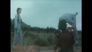 Crippled Kung Fu Boxer still 2