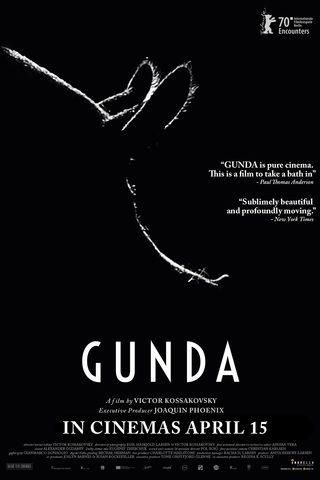 Gunda still 4