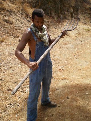 Dead Kansas still 8