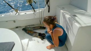 Sharkwater Extinction still 3