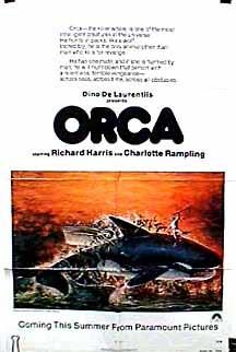 Orca still 6