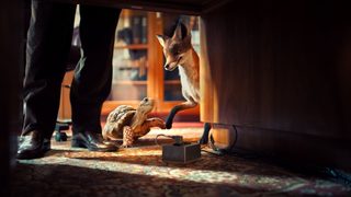 The School of the Magical Animals still 6