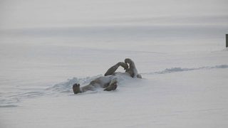 The Last Winter still 3