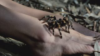 Tarantulas: The Deadly Cargo still 3