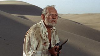 Sands of the Kalahari still 5