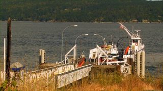 1313: Bigfoot Island still 2