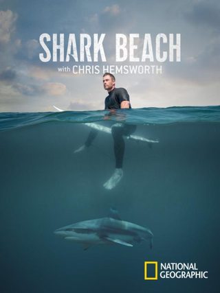 Shark Beach with Chris Hemsworth still 1