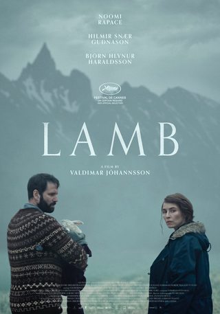 Lamb still 8