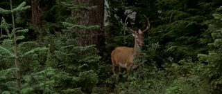 The Deer Hunter still 4