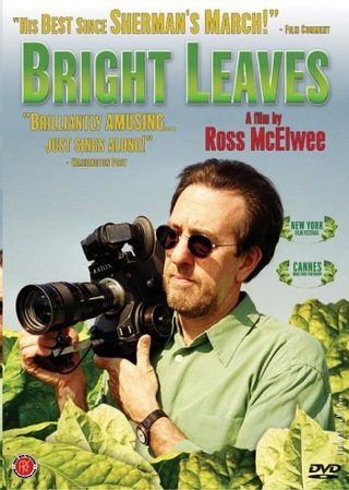 Bright Leaves still 2