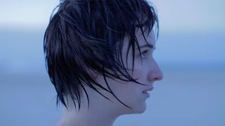 Driftwood still 4