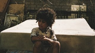 Bird still 8