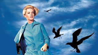 The Birds still 2
