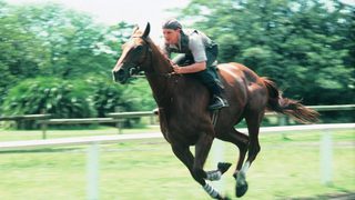Phar Lap still 2