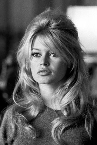 Brigitte Bardot, photo 2 of 3