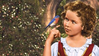 The Blue Bird still 3