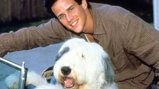 The Shaggy Dog still 3