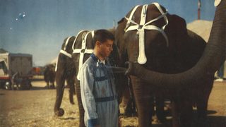 3 Ring Circus still 1