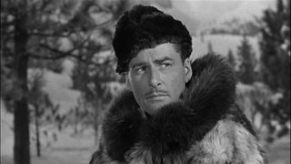 Northern Pursuit still 3