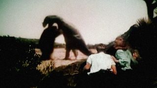 Unknown Island still 3