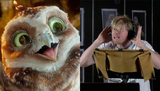 Legend of the Guardians: The Owls of Ga'Hoole still 5