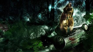 Bear still 1
