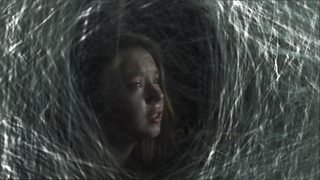 Spiders still 1