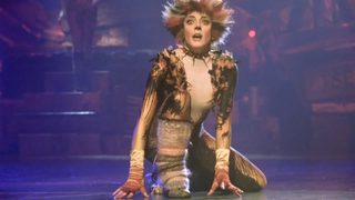Cats still 2