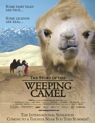 The Story of the Weeping Camel still 1