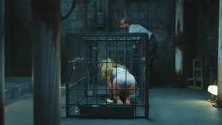 Pet still 7