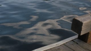 Night Moves still 5