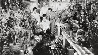 Invasion of the Body Snatchers still 1