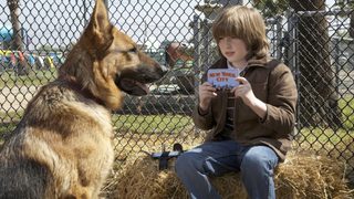 Cool Dog still 2