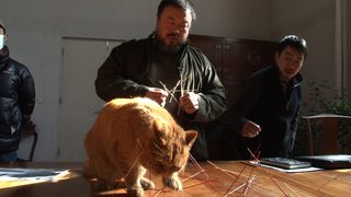 Ai Weiwei: Never Sorry still 2