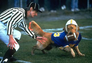 Air Bud: Golden Receiver still 8