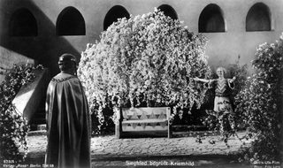 Die Nibelungen: Siegfried still 7