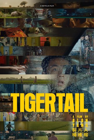 Tigertail still 5