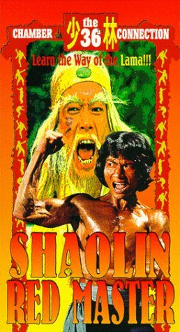 Shaolin Tough Kid still 3