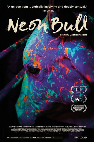 Neon Bull still 1