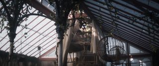 Glasshouse still 4