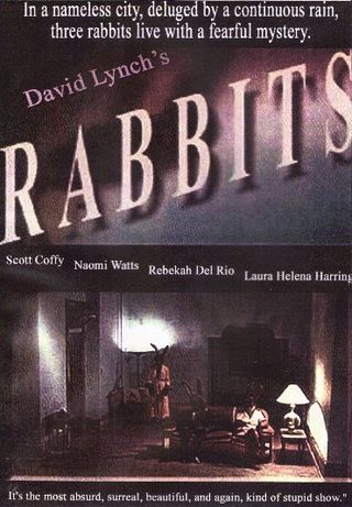 Rabbits still 2
