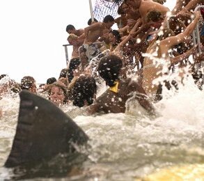 Spring Break Shark Attack still 8