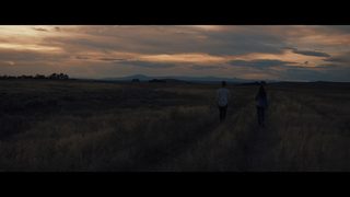 The Pilgrim still 7