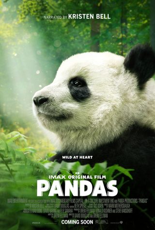 Pandas still 3