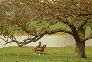 Sense and Sensibility still 4