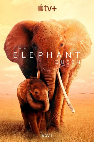 The Elephant Queen still 7