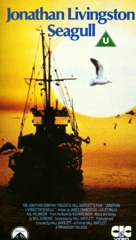 Jonathan Livingston Seagull still 8