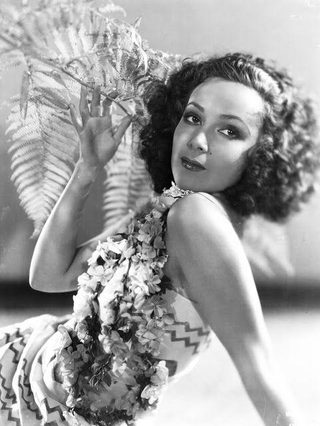 Bird of Paradise still 5