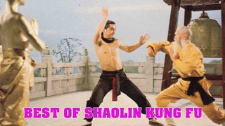 The Best of Shaolin Kung Fu still 3