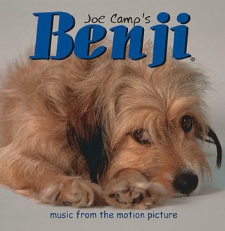 Benji still 2